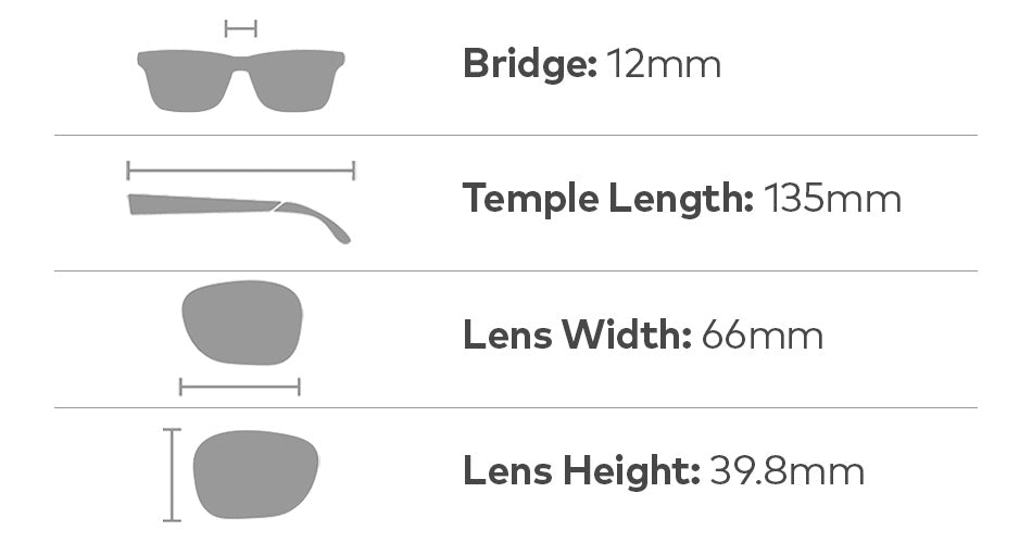 VENTURA - Matte Tortoise with Bronze Lens